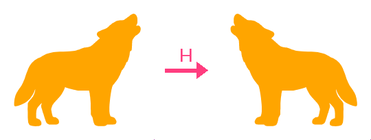 The wolf facing right, an arrow marked H, and the same wolf mirrored to face left.